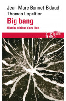 Big bang - histoire critique d-une idee