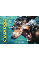 Crazy dogs : les chiens les plus cabots de la publicite mondiale