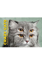 Crazy cats : les chats les plus poilants de la publicite mondiale
