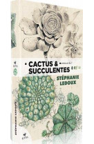 Cactus & succulentes