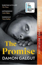 The promise ( booker prize 2021)