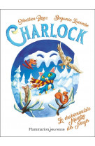 Le chabominable monstre des neiges