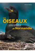 Les oiseaux marins de normandie