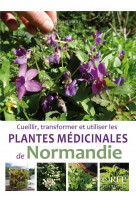 Plantes medicinales de normandie
