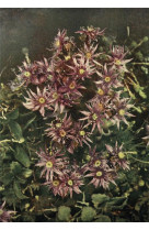Carnet - fleurs des alpes - notes et lectures