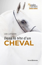 Dans la tête d'un cheval