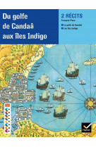 Facettes bibilotheque cm2 - du golfe de candaa aux iles indigo - recueil