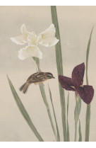Carnet - fleurs et oiseaux