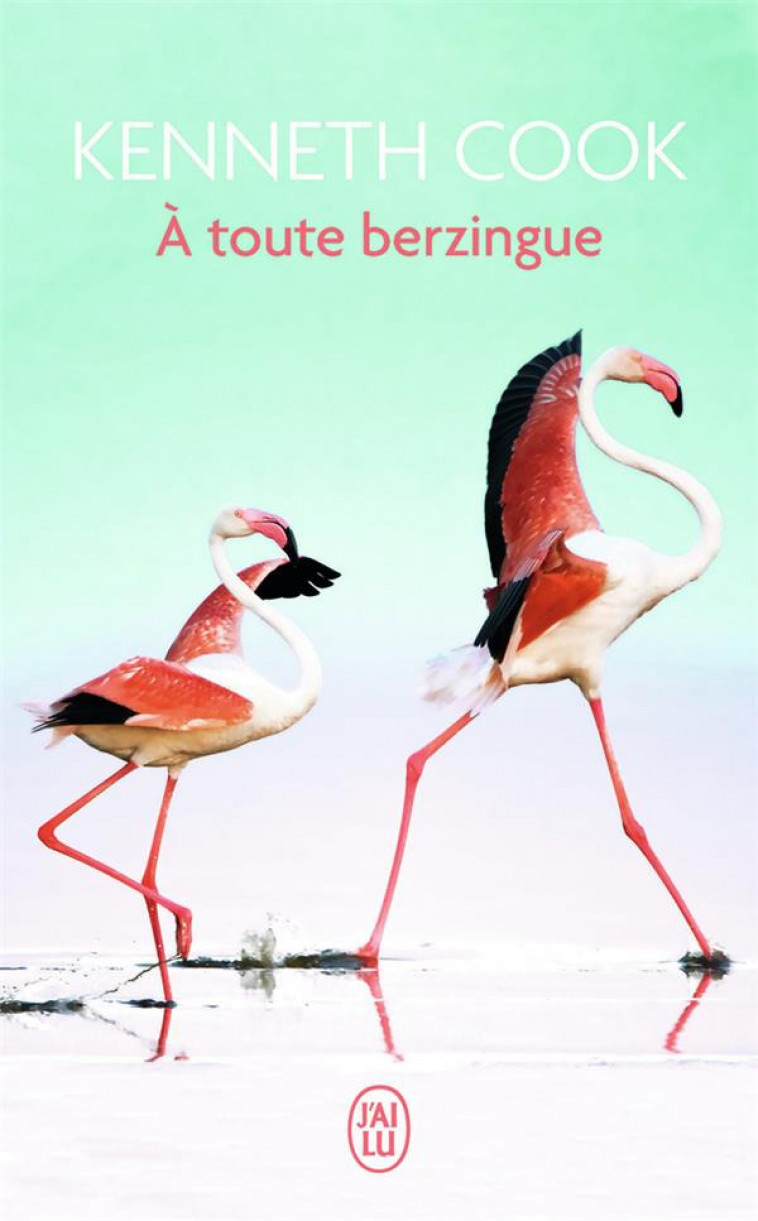 A TOUTE BERZINGUE - COOK KENNETH - J'ai lu