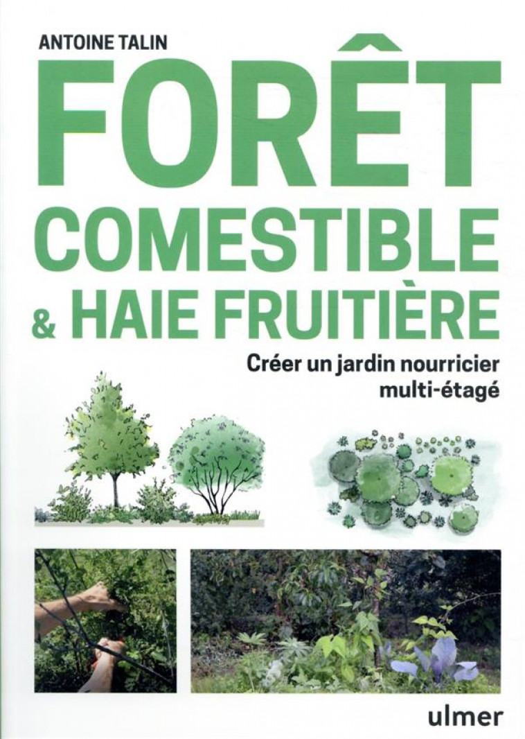 FORET COMESTIBLE et HAIE FRUITIERE : CEER UN JARDIN NOURRICIER MULTI-ETAGE - TALIN ANTOINE - ULMER