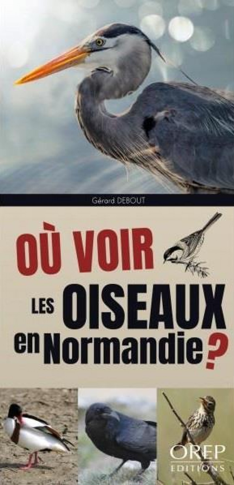 OU VOIR LES OISEAUX EN NORMANDIE ? - DEBOUT GERARD - OREP