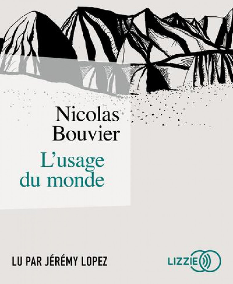 L'USAGE DU MONDE - BOUVIER NICOLAS - LIZZIE