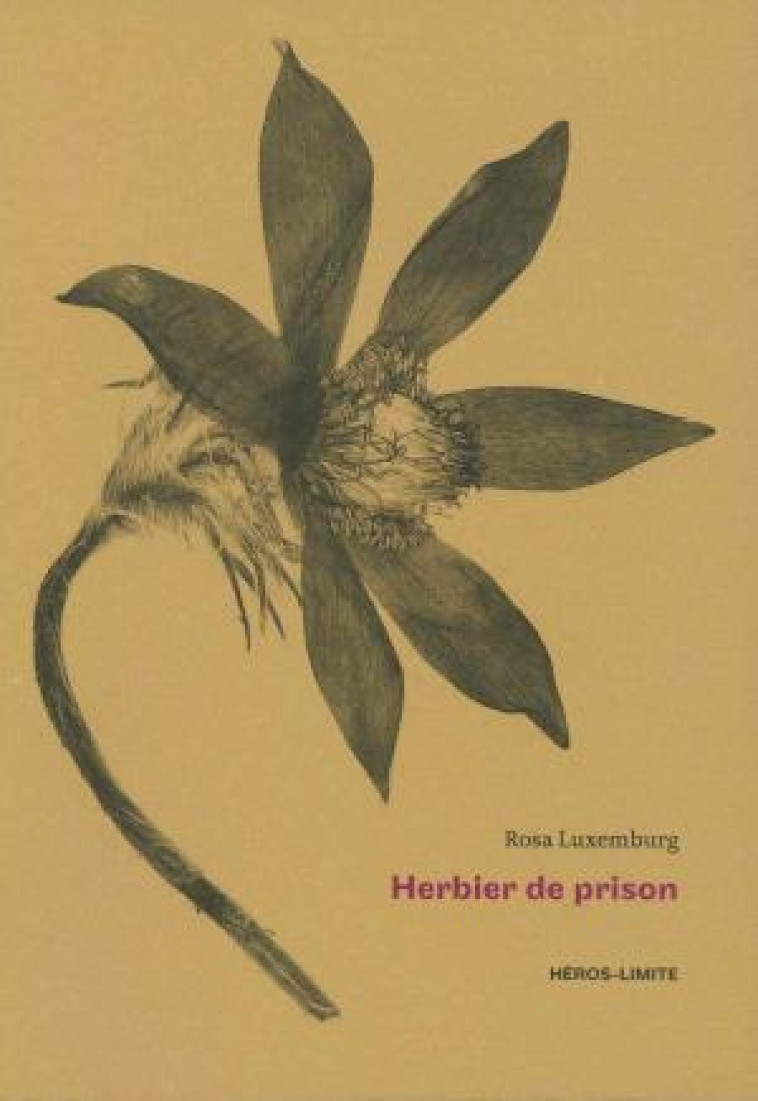 HERBIER DE PRISON - (1915 - 1918) - ILLUSTRATIONS, COULEUR - LUXEMBURG/PIC - HEROS LIMITE