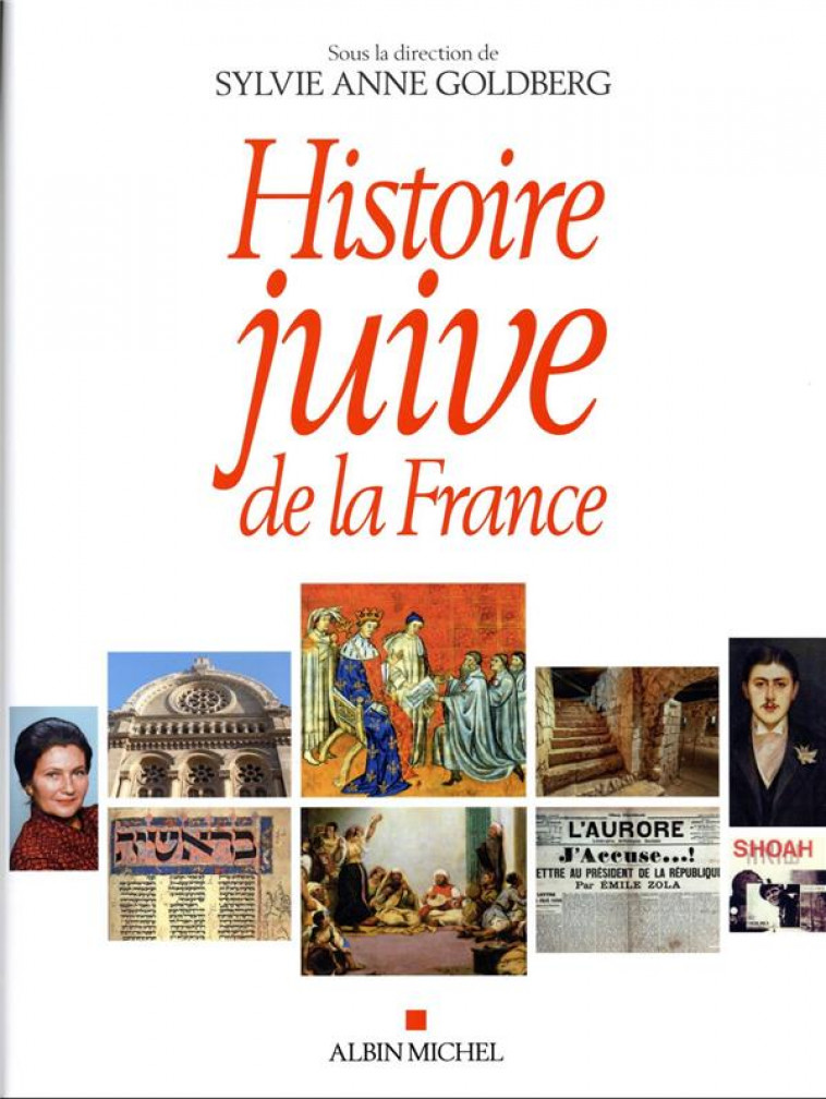 HISTOIRE JUIVE DE LA FRANCE - GOLDBERG SYLVIE-ANNE - ALBIN MICHEL