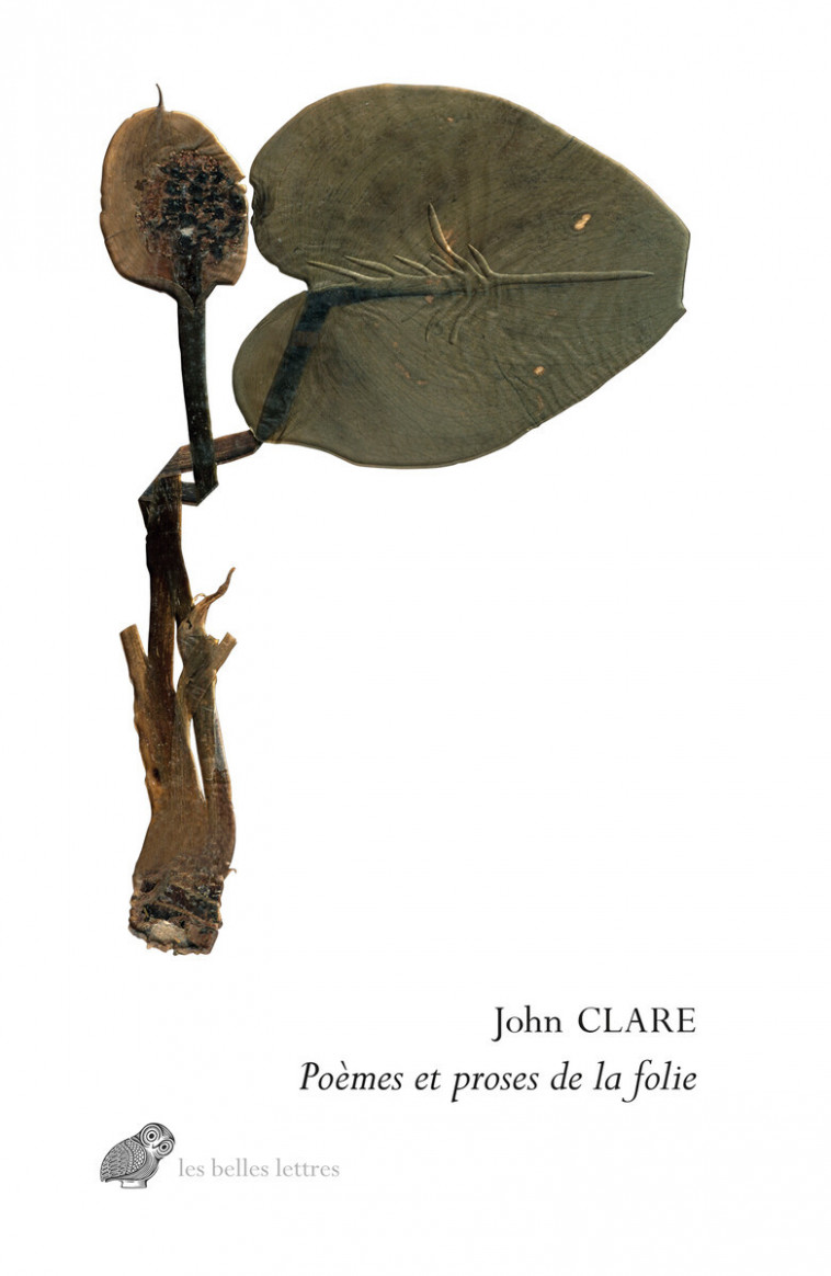 Poèmes et proses de la folie - John Clare - BELLES LETTRES