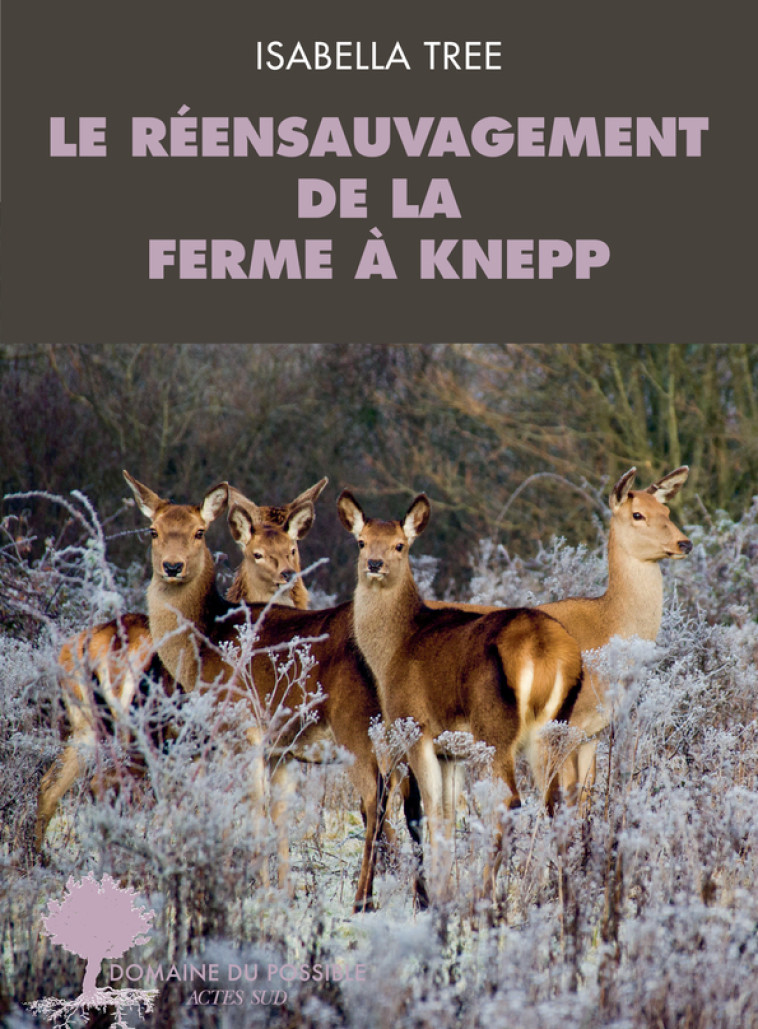 Le réensauvagement de la ferme à Knepp - Isabella Tree - ACTES SUD