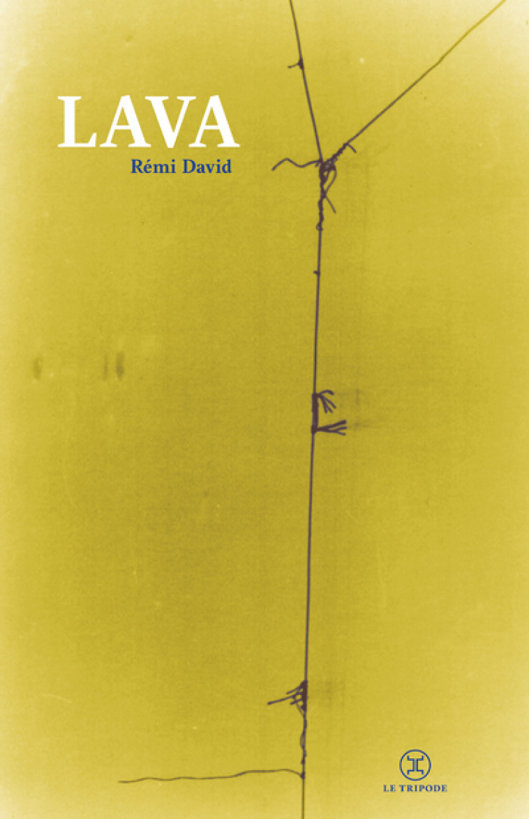 Lava - Rémi DAVID - LE TRIPODE