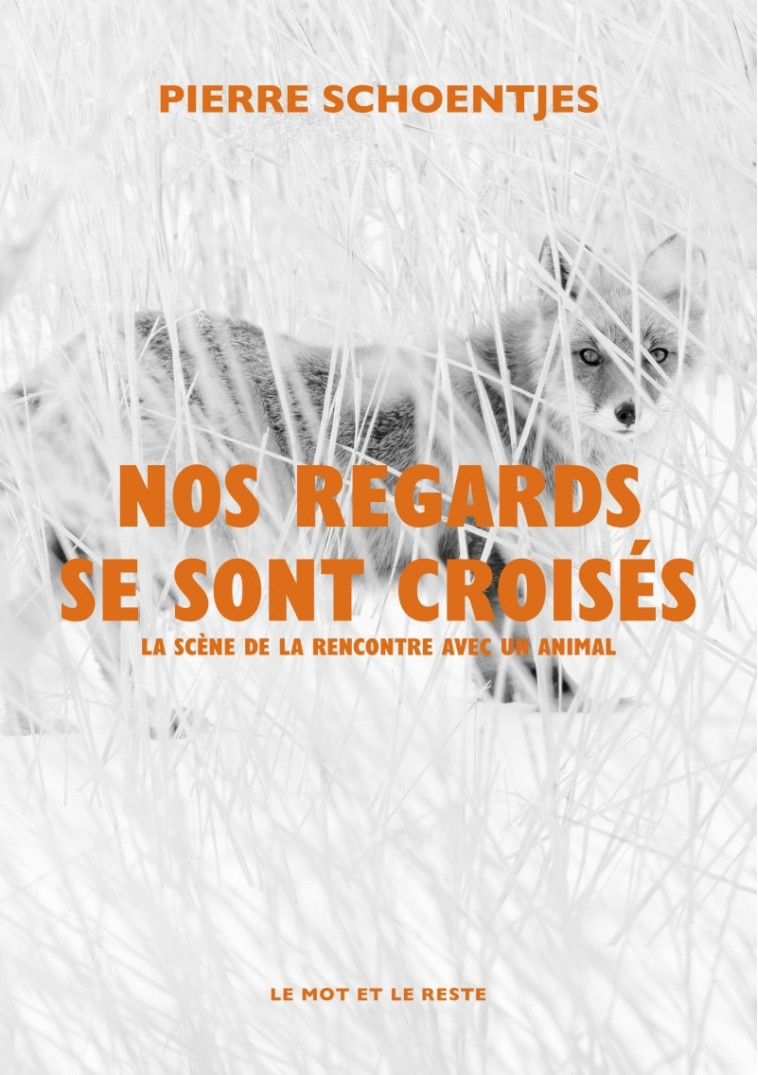 Nos regards se sont croisés - La scène de la rencontre avec - Pierre Schoentjes - MOT ET LE RESTE