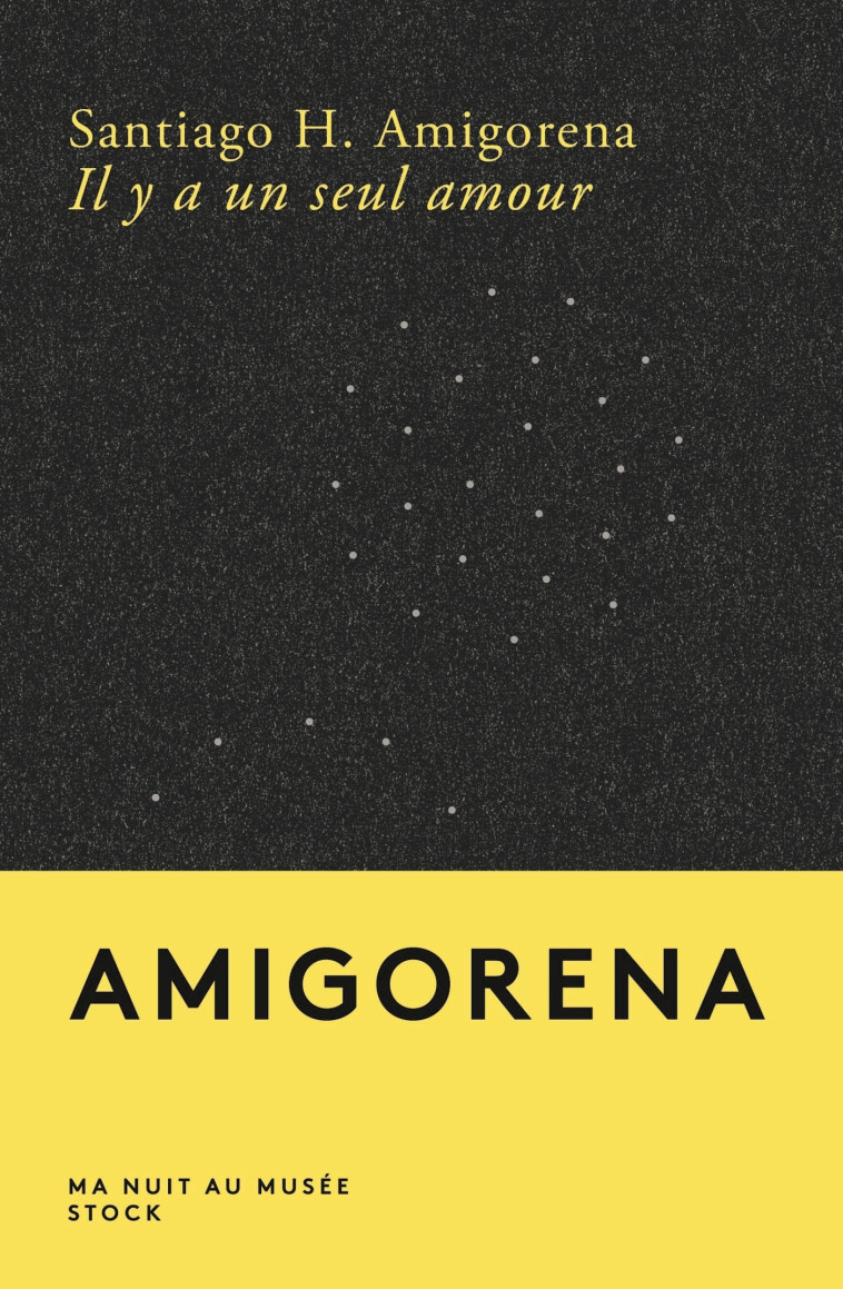 Il y a un seul amour - Santiago H. Amigorena - STOCK
