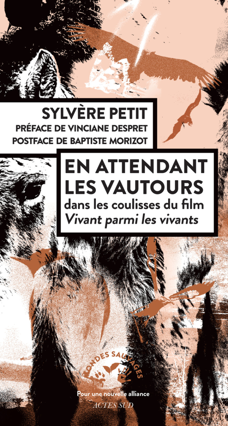 En attendant les vautours - Sylvère Petit, Vinciane Despret, Baptiste Morizot, Sylvère Petit, Vinciane Despret, Baptiste Morizot - ACTES SUD