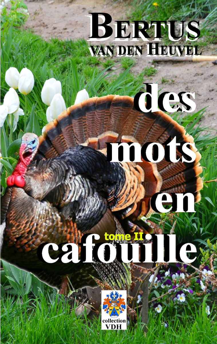 Des mots en cafouille II - Bertus van den Heuvel - BOOKS ON DEMAND