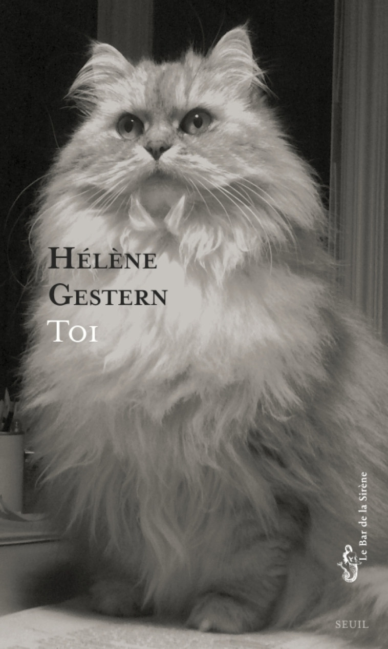 Toi - Hélène Gestern - SEUIL